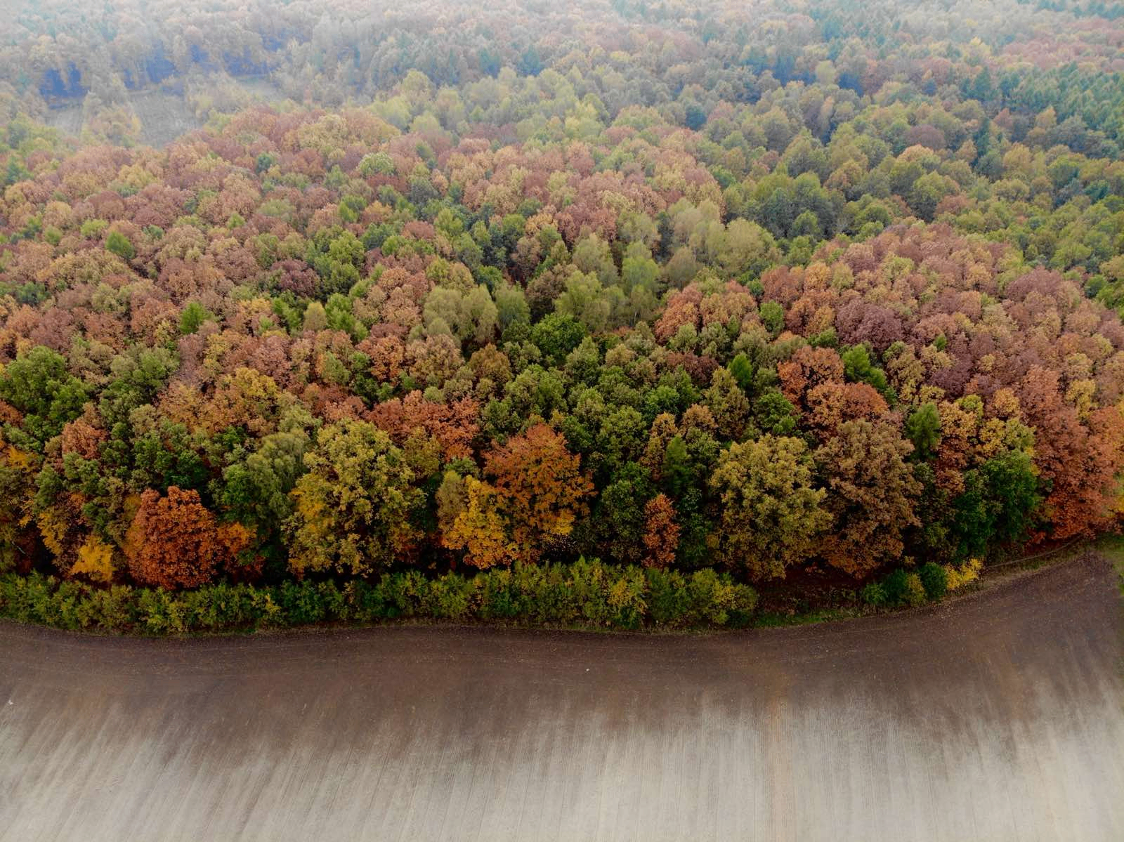 Widok z lotu ptaka na dzielnicę Wilkowyje w Tychach